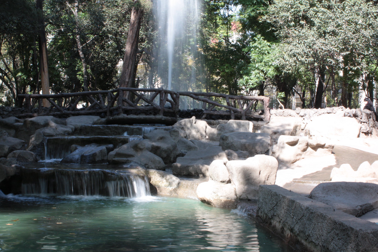 Roma y Condesa: cafés, parques y vida de barrio en la CDMX