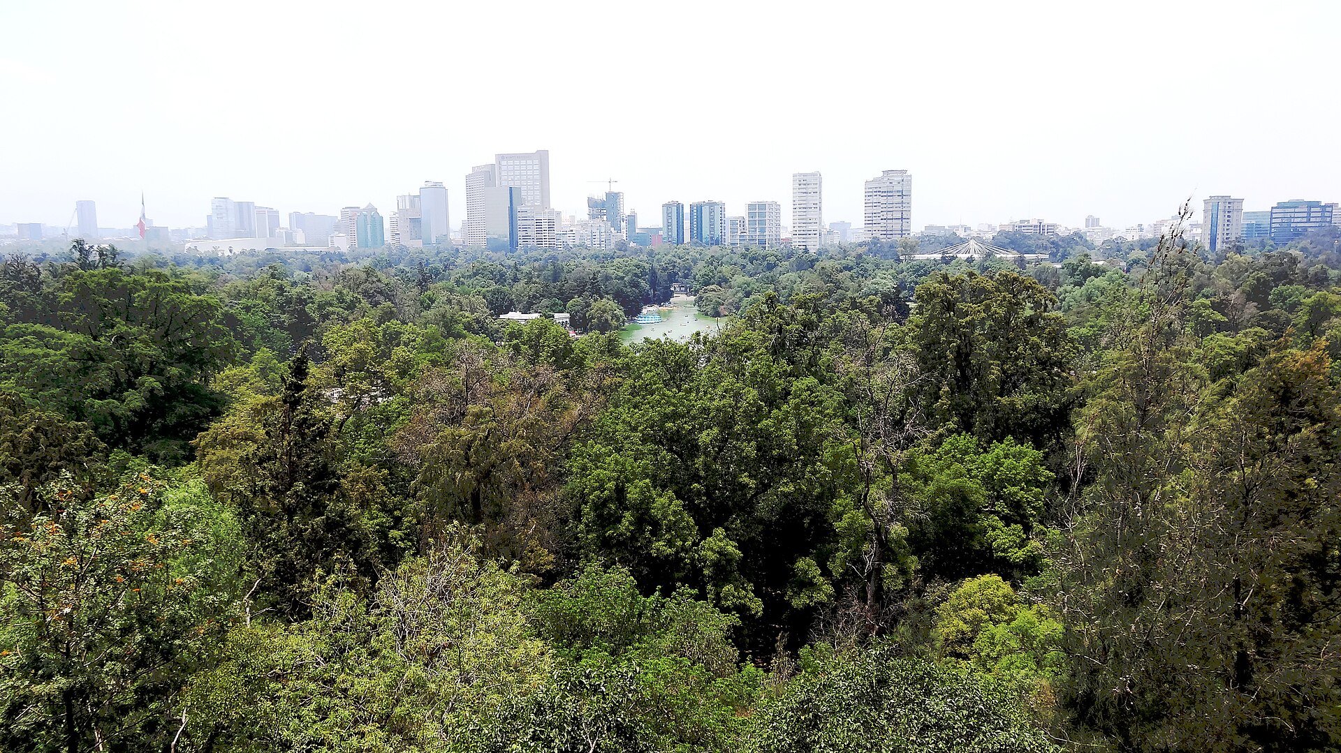 Mexico City Sunday Scenes: Experiences and Venues Open Today